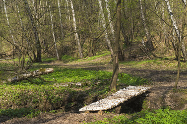 Similar image 21174611