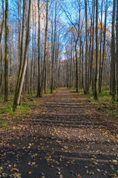 Similar image 21174612