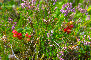 Similar image 21174613