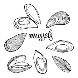 Similar image 21195704