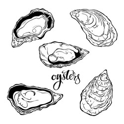 Similar image 21195715