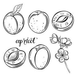 Similar image 21195778