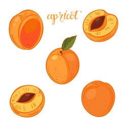 Similar image 21195779