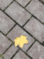 Similar image 21186621