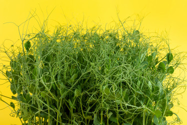 Similar image 21177393