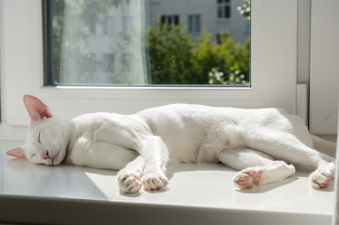 Similar image 21177407