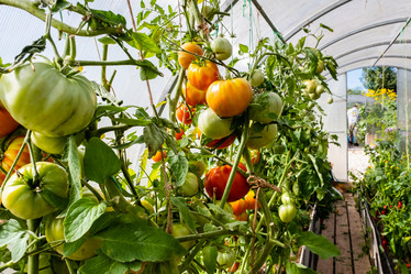 Similar image 21177412