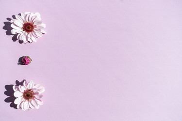 Similar image 21177415