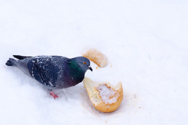 Similar image 21176775