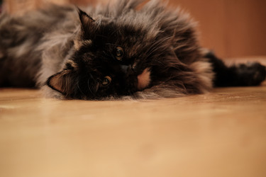 Similar image 21177212