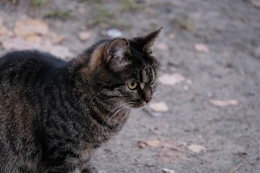 Similar image 21177214