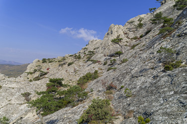 Similar image 21176700