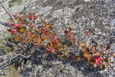 Similar image 21176701