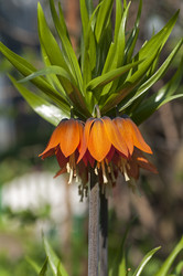 Similar image 21176702