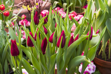 Similar image 21176707