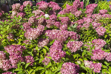 Similar image 21176708