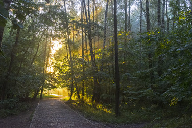 Similar image 21176709