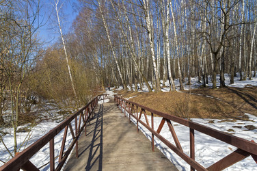 Similar image 21176710