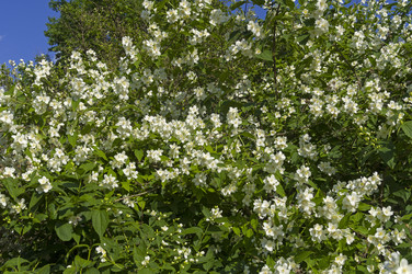 Similar image 21176713