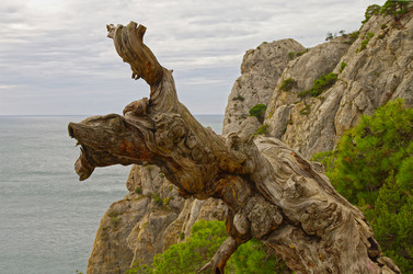 Similar image 21176718