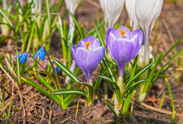 Similar image 21176725