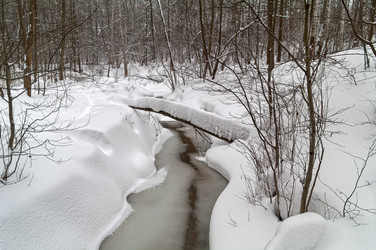 Similar image 21176726