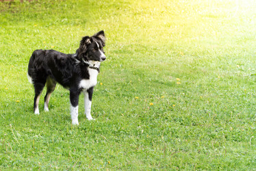 Similar image 21176782