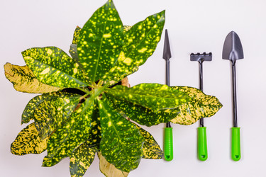 Similar image 21177430