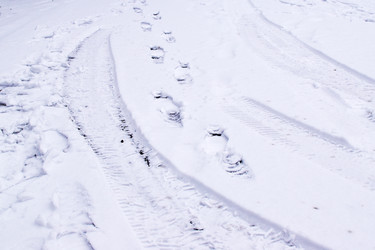 Similar image 21177219