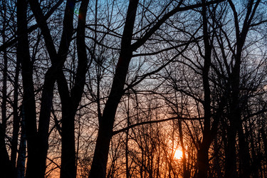 Similar image 21177225