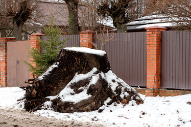 Similar image 21176784