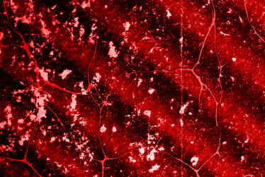 Similar image 21176787