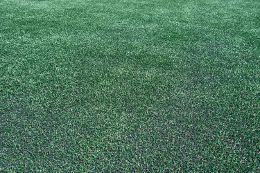 Similar image 21181098