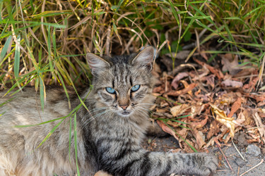 Similar image 21176795