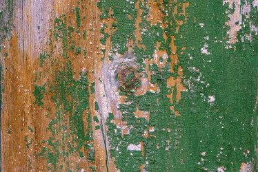 Similar image 21176804