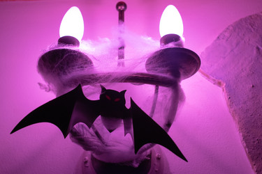 Similar image 21177229