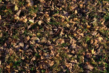 Similar image 21176811