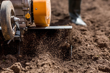 Similar image 21178770