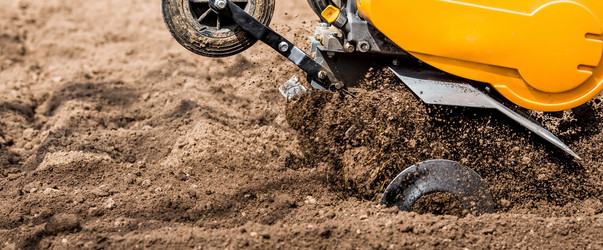 Similar image 21179809