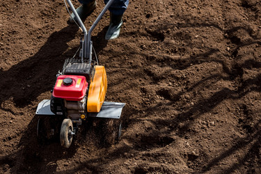 Similar image 21178774