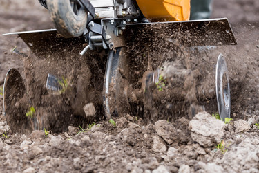 Similar image 21178779