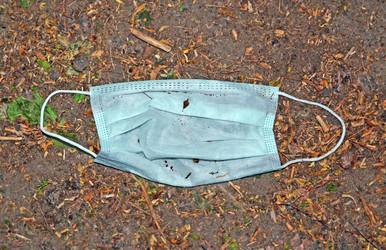 Similar image 21179892