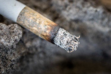 Similar image 21196259