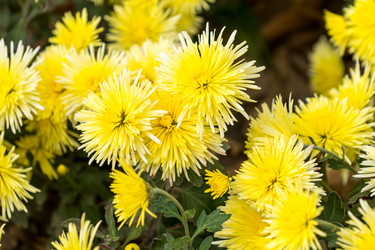 Similar image 21177847