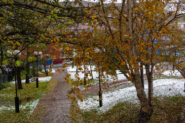 Similar image 21178118