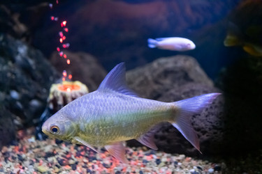 Similar image 21178135