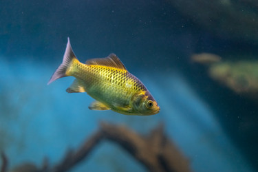 Similar image 21178137