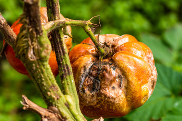 Similar image 21195171