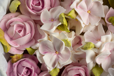 Similar image 21180684