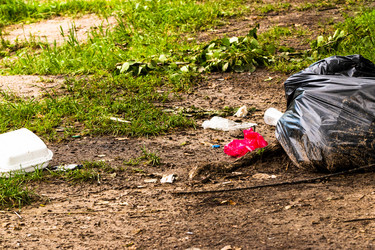 Similar image 21177249